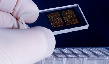 Создан биочип, объединяющий живую нервную ткань...